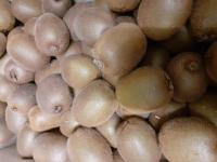Kiwis