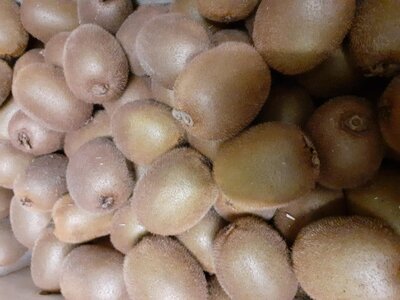 Kiwis