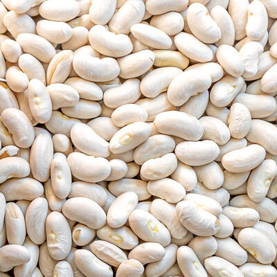 Haricots lingots