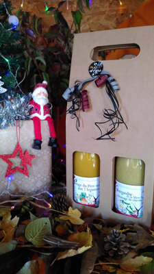 Lot de 2 soupes et gaspacho de noel
