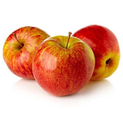 Pommes elstar