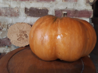 Petite courge musquée de provence entière