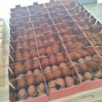 Assortiment de rochers