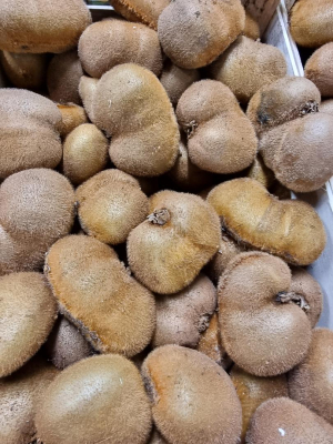 Kiwi bio plats - opération fruits moches