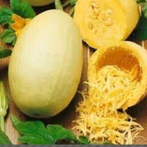 Courge spaghetti environ 1.5kg