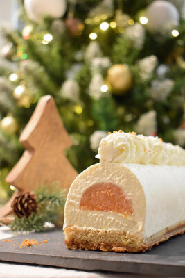 Buche 6 personnes