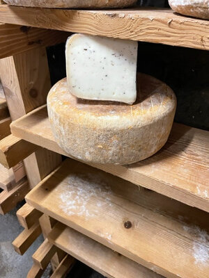 Ossau à la truffe