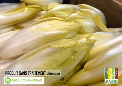 Endive