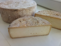 Vieille tomme de chèvre