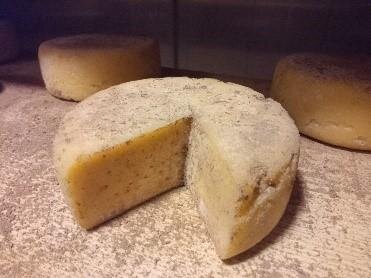Tomme de vache - 1 mois d'affinage