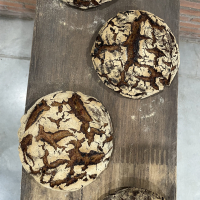 Tourte de seigle au citron