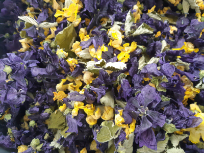Tisane rouge-gorge