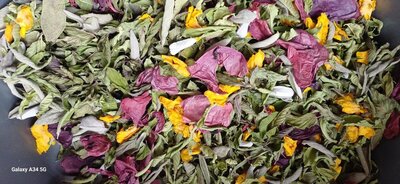 Tisane rêverie d'été