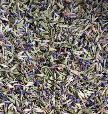 Tisane hysope