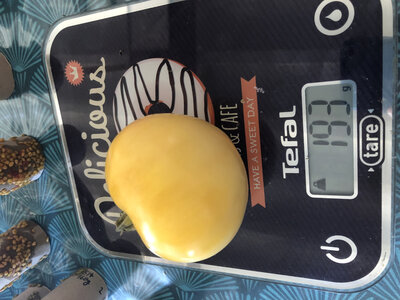 Tomate coeur de boeuf blanche