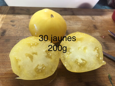 Tomate jaune (graines à semer)