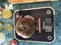 Tomate noire de crimée (graines à semer)