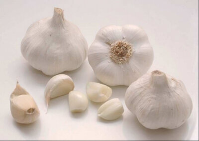 Ail blanc