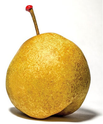 Poire variété 'passe crassane'
