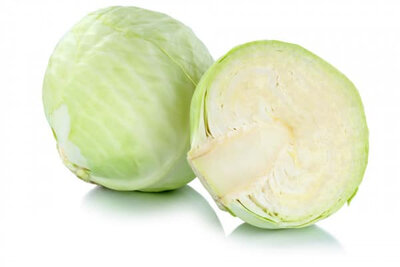 Chou cabus blanc