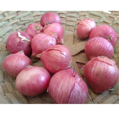 Oignons rose