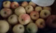 Pommes locales variété acidulée