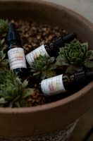 - synergie digestion -