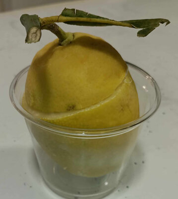 Citron givré par 2