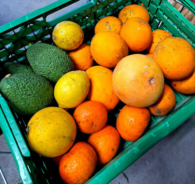 Panier de fruits de saison bio (mixte)