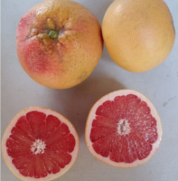 Pomelo star ruby bio