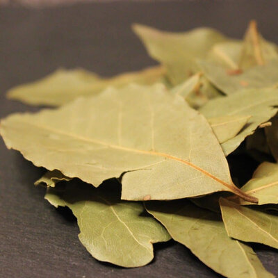 Feuilles de laurier entière