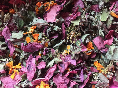 Tisane mélange 'les songes de gaïa'