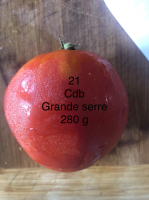 Tomate coeur de boeuf (graines à semer)