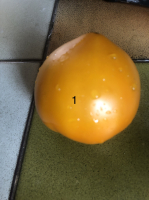 Tomate cornue orange