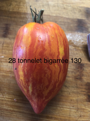 Tomate tonnelet bigarrée (graines à semer)