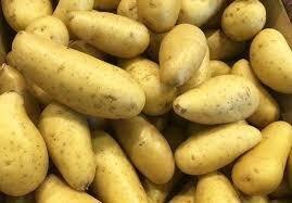 Pomme de terre agata