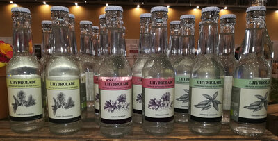 Limonade: hydrolade 'forêt jurassienne'