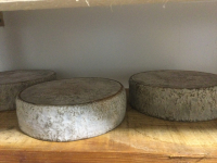 Tomme de brebis nature 1 à 3 mois d'affinage