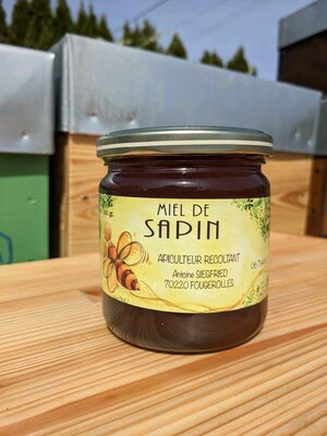 Miel de sapin 500g