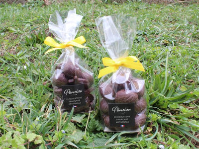 🔔 petits oeufs pralinés et gianduja