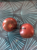 Tomate cerise noire-(plant)