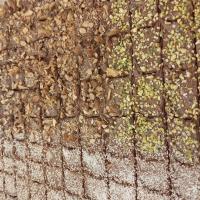 Assortiment de chocolats lait