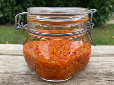 Sauce probiotique aux poivrons et à l'ail