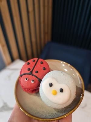 Macaron animaux