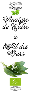 Vinaigre de cidre à l'ail des ours