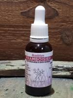 Alcoolature framboisier