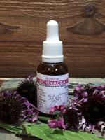 Alcoolature echinacea