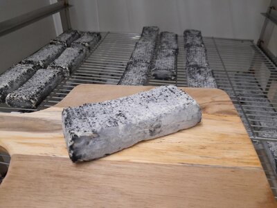 Brique de chèvre cendrée