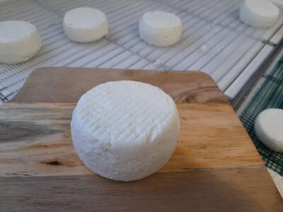 Chèvre frais