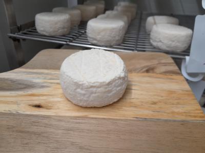 Chèvre 1/2 affiné